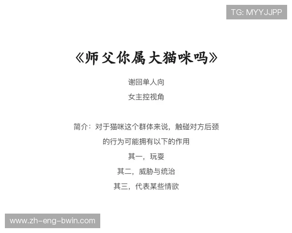 梦人间攻略谢回条件详解与关键任务步骤解析
